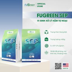 FUGREEN SEP - VI SINH XỬ LÍ HẦM TỰ HOẠI