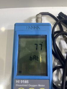 Tăng đột ngột về nồng độ BOD và COD