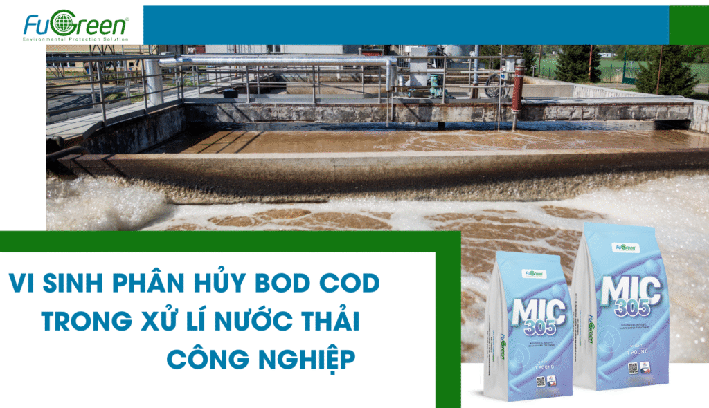 Vi sinh phân hủy BOD COD: Chìa khóa kiểm soát ô nhiễm nước thải hiệu quả 2025?