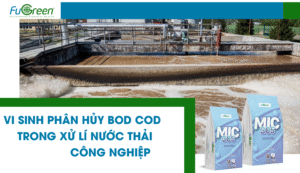 Vi sinh phân hủy BOD COD: Chìa khóa kiểm soát ô nhiễm nước thải hiệu quả 2025?