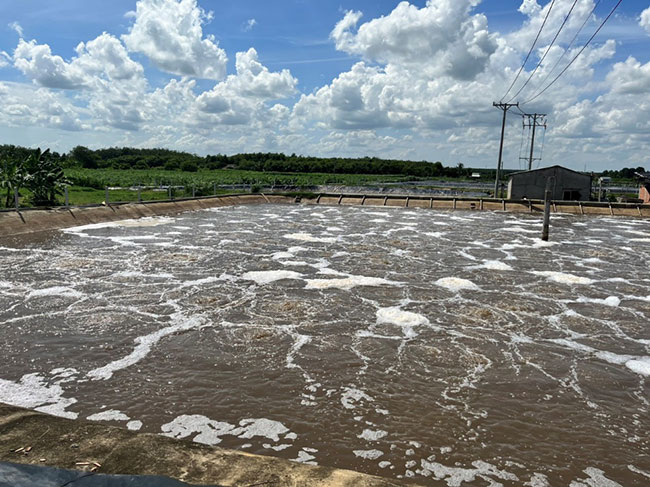 Giai đoạn xử lý nước thải tinh bột mì