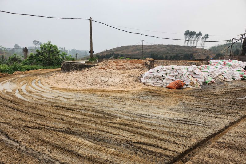 Vì sao FUGREEN lựa chọn giải pháp sinh học thay cho hóa chất?