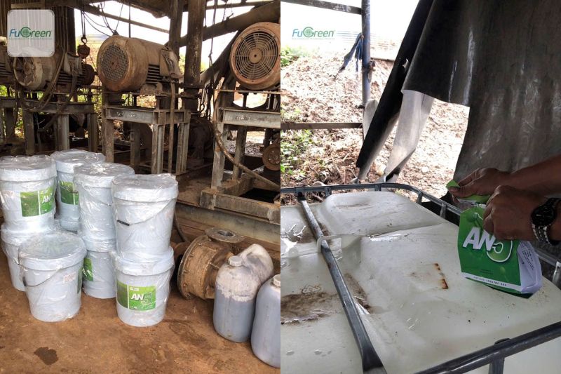 Men vi sinh FUGREEN AN5 hỗ trợ khởi động hầm Biogas tinh bột sắn