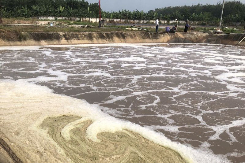 Chỉ số BOD trong nước thải là gì?